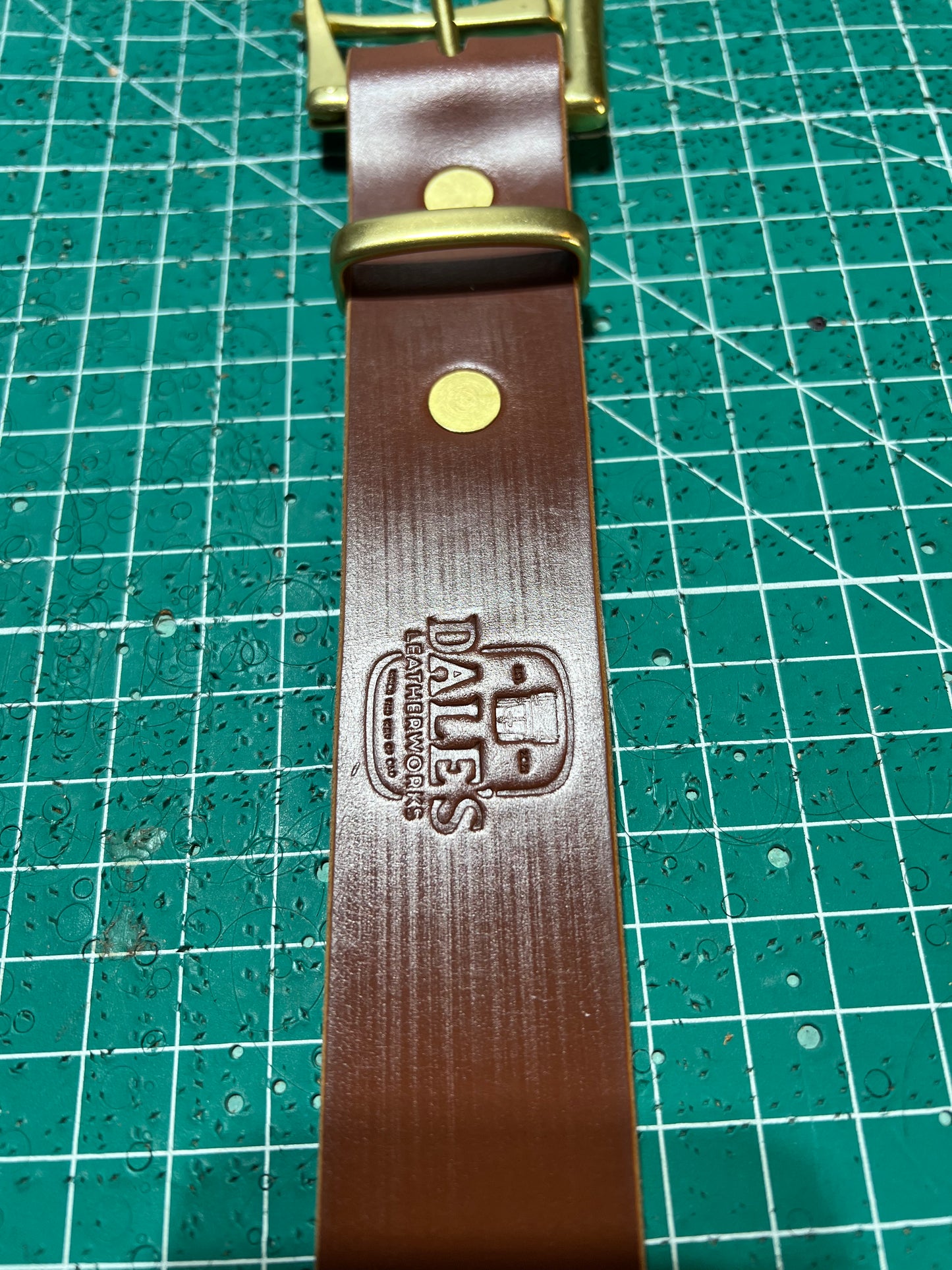 The Marauder 1.5” Belt, Hazel Sedgwick