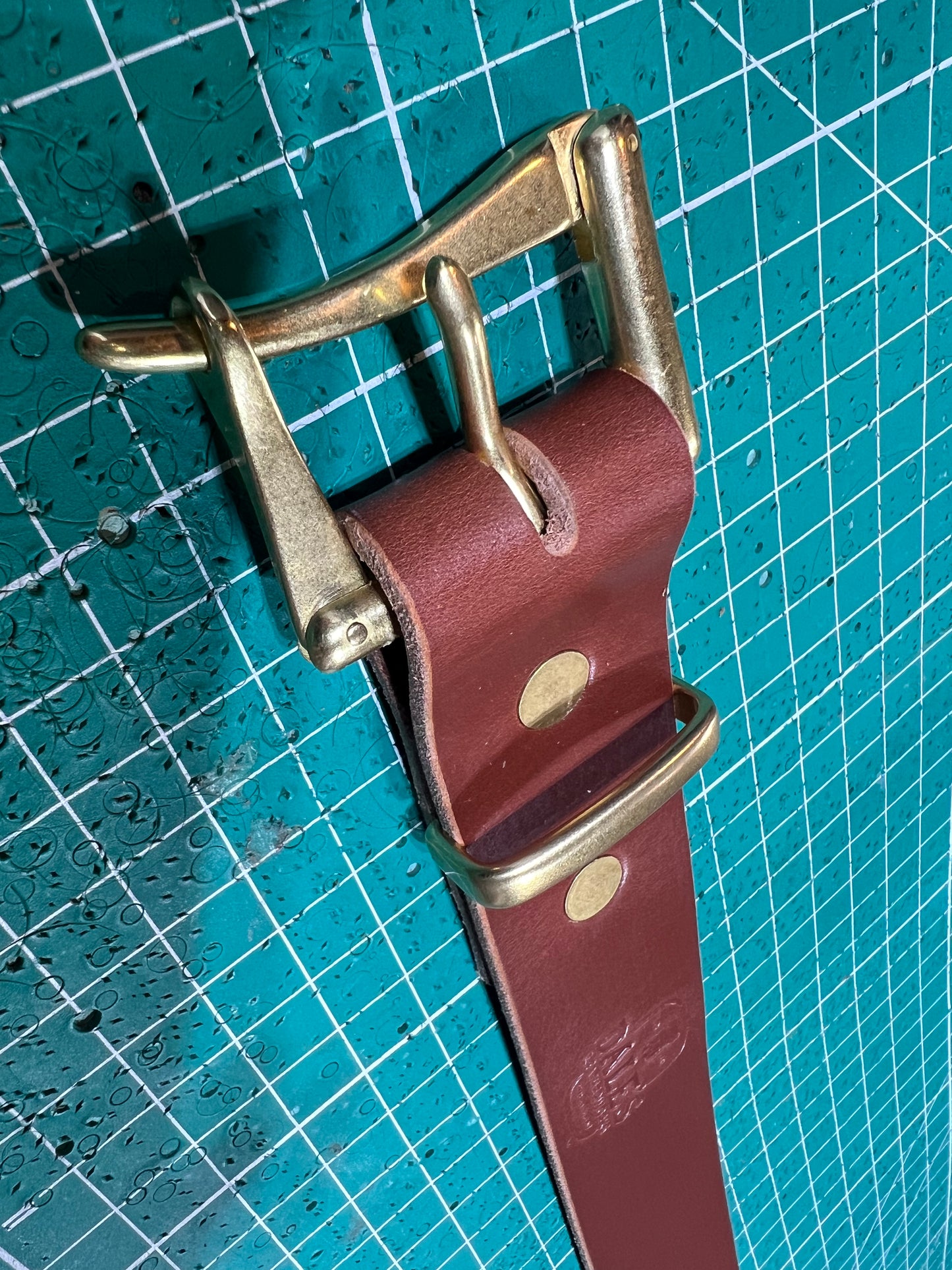 The Marauder 1.5” Belt, Hazel Sedgwick